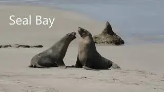 Bunnik Tours Australia - Kangaroo Island with the SA Experts