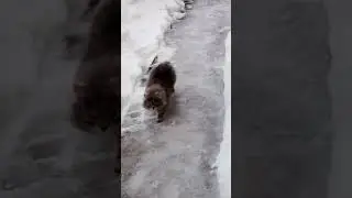 1 февраля