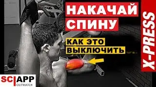 Как Накачать Широчайшие Быстрее | Джефф Кавальер