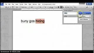 How to correct your spelling on a google doc