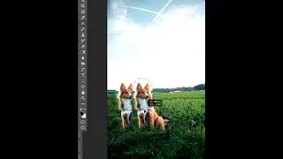 Magic of Content-Aware Move Tool in Photoshop | Photoshop Tutorials | Youtube Shorts 