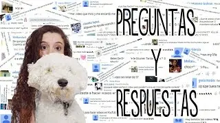 Preguntas y respuestas - Tutoriales Belen