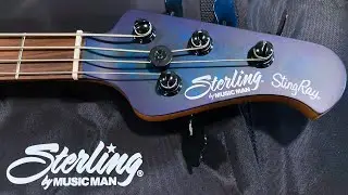 Unboxing the Sterling by Music Man StingRay Ray 34 Burl Top Bass Guitar