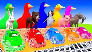 5 Giant Duck Cartoon,Tiger,Cow,Zebra,Chicken,Dog,Cat Wild Animals Crossing Fountain 2023