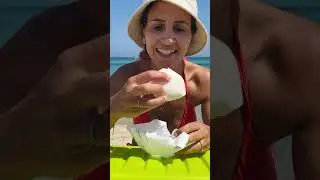 Making Lunch on the Beach (Episode 4)