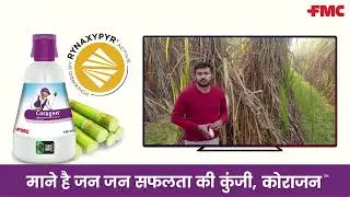 Coragen® Insecticide for Sugarcane | UP Farmers | 