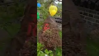 Китай. Янцзы. Термальные источники. Второй видосик.