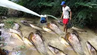 5 Teknik MENANGKAP IKAN Sederhana Hasil Melimpah, Tinggal Ngopi Ngudud Auto panen Ikan