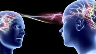 ready or not players share single braincell