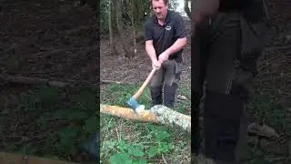 Make a chair from a tree in a day handtools only