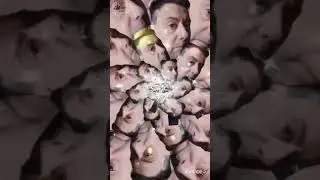 L'invasione degli ultracorpi lo Youtuber italiano più famoso nel mondo 🌏 e seguito 