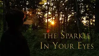 (Indie Music Video) Sparkle In Your Eyes - Jensine Benitez