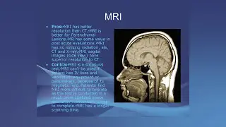 Identification & Measurement of Traumatic Brain Injuries