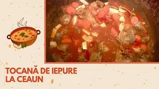 Tocană de iepure la ceaun