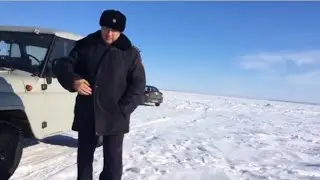 РЫБКИ ХАЛЯВНОЙ ЗАХОТЕЛОСЬ, МУСОР? ОСА ПЕТРОПАВЛОВСК