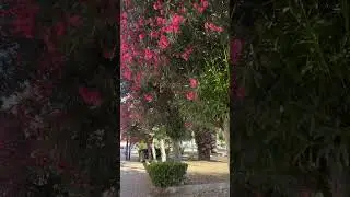 Утро, Taranto 18.06.2024