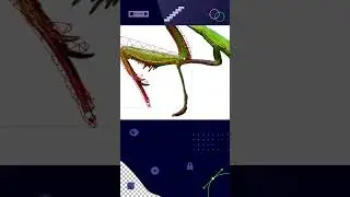Estas son algunas características de nuestro TOP 3 de softwares de animación.