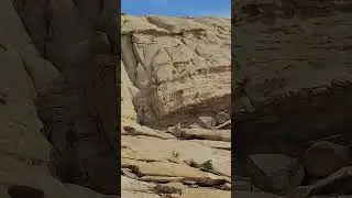 Бектау Ата, Казахстан. Июнь, 2024 #урочище #бектау #казахстан