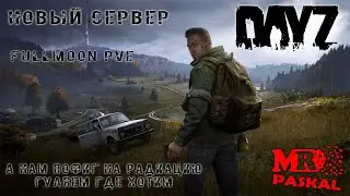 DayZ | цель 300 подписчиков | чекай описание | сталкер | мутанты | первые шаги | новый сервер |