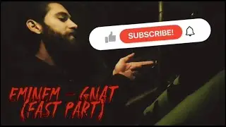 Eminem - Gnat (Fast part) by me