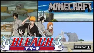 Bleach Soul Society 