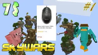 SkyWars cu cel mai ieftin mouse