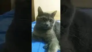 Зато я очень красивый 🤣 