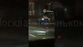 На МОНОКОЛЕСЕ с СОБАКОЙ | 
