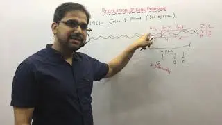 Lac operon