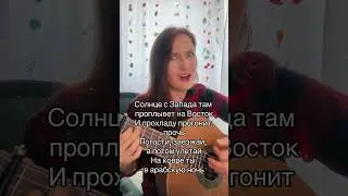 Арабская ночь. Есть на свете земля, что в далёких краях. Поёт Ирина Ромашка