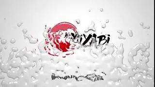 Intro Miyabi