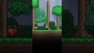 The BEST Fruit In Terraria!