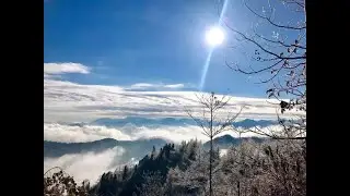 我願意      王菲