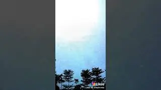 The cool man