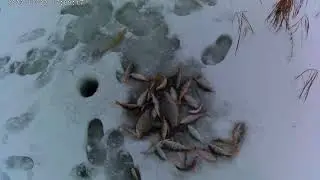 озеро Чаны остров Редкий  02.12.2023