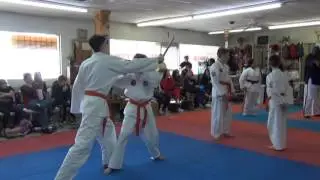GM Gabriel Green Demonstration