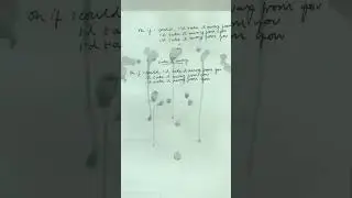 Below The Waste lyric booklet ✍️ 🚗 🌱 🐐