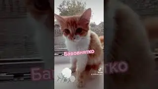 Бавовнятко😍🔥!