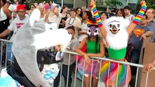 How Furries Are Taking Over Pride Parades