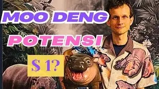MOODENG -- POTENSI CICIL PADA MOODENG. BISAKAH RALLY KE $ 1 BULLRUN TAHUN INI ??