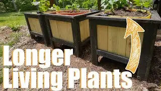 The Planter Box Problem NO ONE Solved Until Now
