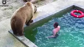 Давай купаться🌊🐻