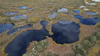 Häckelsängs högmosse och Gnagmur Naturreservat