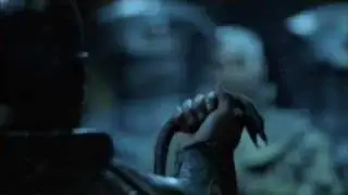 Stargate, Fuck Yeah!!!