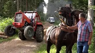 FURMANI, TRAKTORI I RABADZIJE - SOKOLAC 2024 !!!