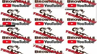 Brownells terminated from YouTube and the Instagram response