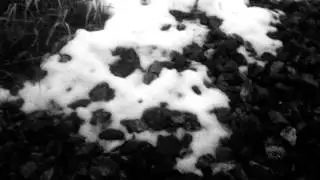 Painless Destiny - Here with you