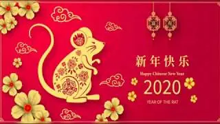 Year of The Rat 2020