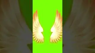 Green Screen Angel Wings Effects 