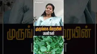 முருங்கை கீரையின் பயன்கள் | yugamconnect | nervous system 